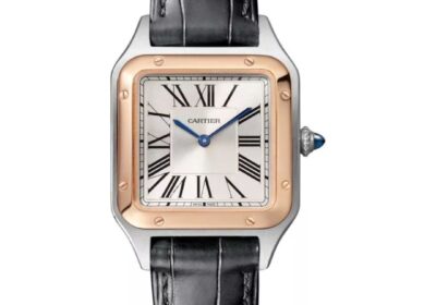 cartier-santos-dumont-w2sa0012_1